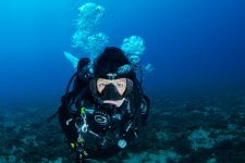 scuba diver Malaga seabed diving along reef