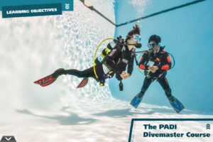 divemaster divemaster