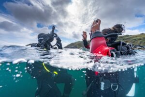 drysuit drysuit