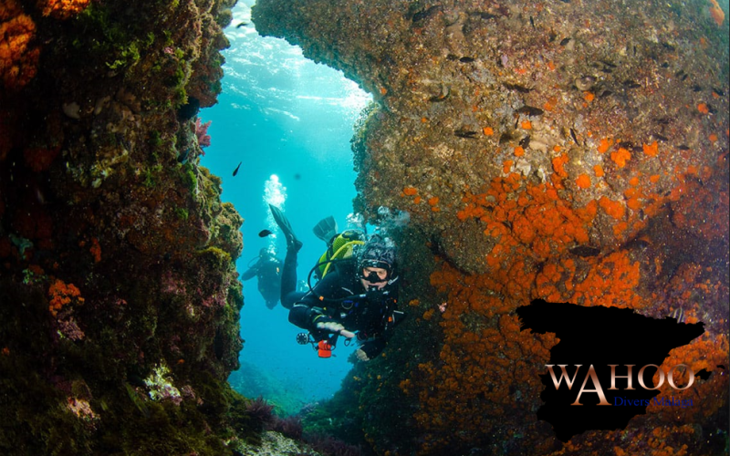 Scuba Diving Marina del Este Málaga scuba diving Marina del Este Málaga clear water reef diver
